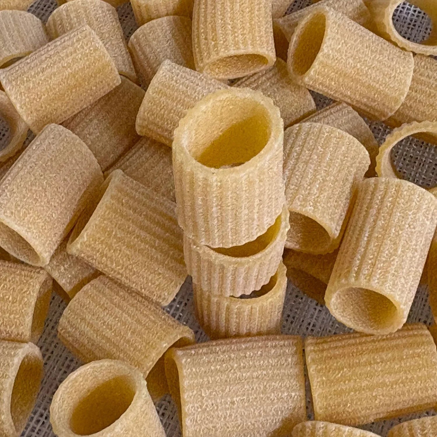 Totuccio Mezzi Rigatoni