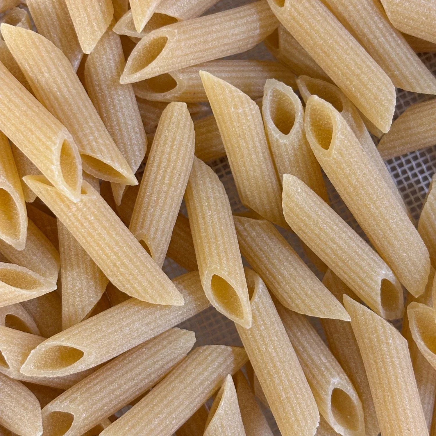 Totuccio Penne